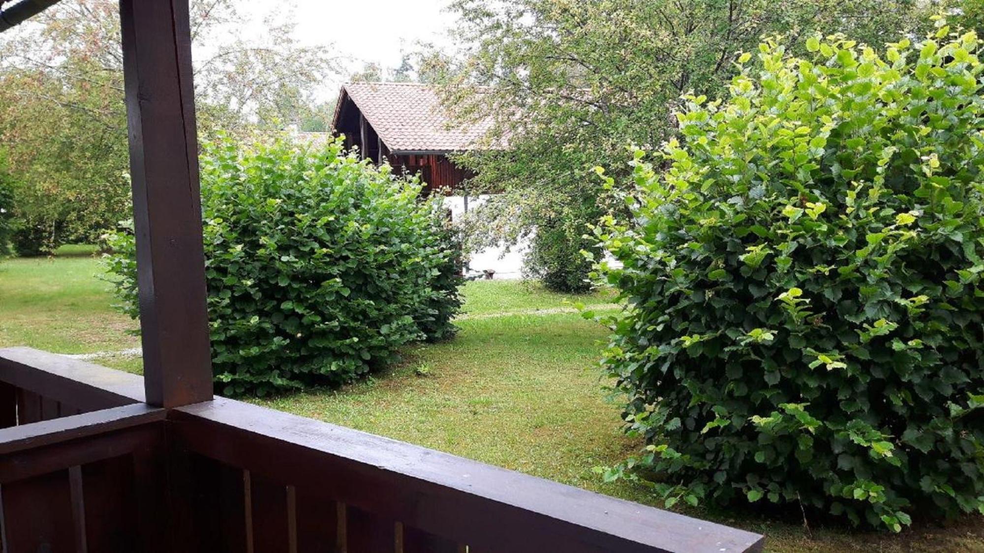 Ferienhaus Virzi - Waldferiendorf Regen Εξωτερικό φωτογραφία
