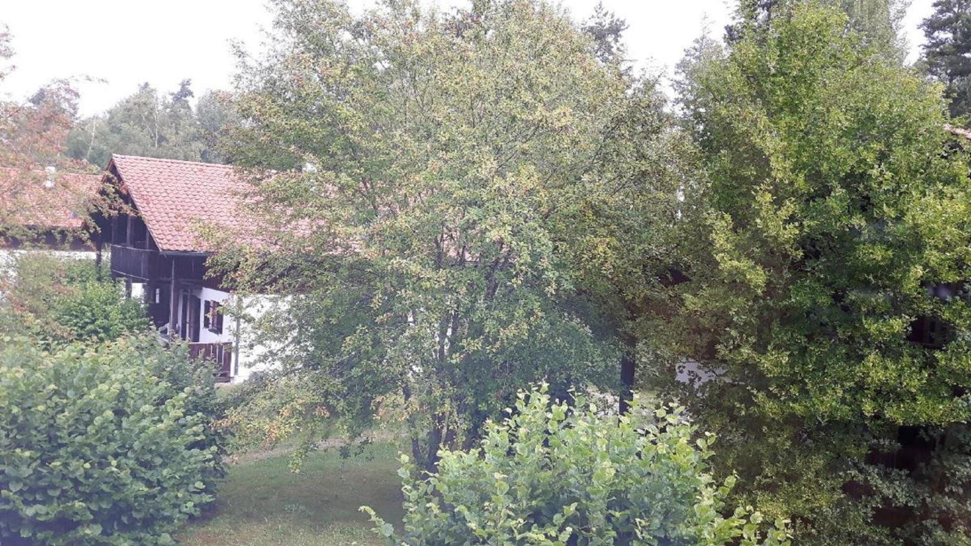 Ferienhaus Virzi - Waldferiendorf Regen Εξωτερικό φωτογραφία